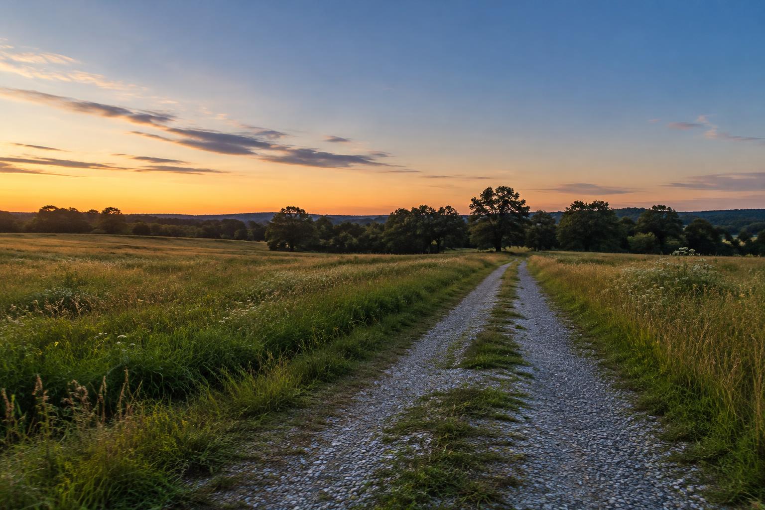 A gravel path through a Missouri meadow at dusk